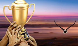 完美世界竞技平台下载(图1)